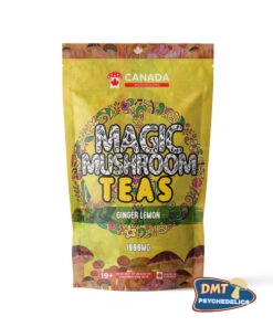 TORONTO Mushrooms Shroom Tea | 1000MG | Ginger Lemon
