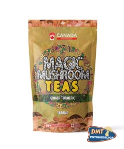 TORONTO Mushrooms Shroom Tea | 1000MG | Ginger Turmeric