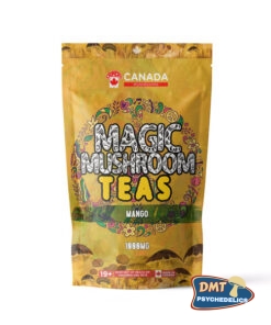 TORONTO Mushrooms Shroom Tea | 1000MG | Mango
