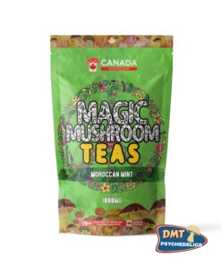 TORONTO Mushrooms Shroom Tea | 1000MG | Moroccan Mint