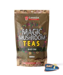 TORONTO Mushrooms Shroom Tea | 1000MG | Black Chai